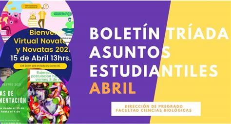 boletin tae.